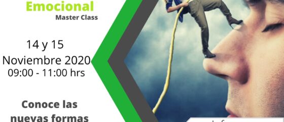 Inteligencia Emocional 141120